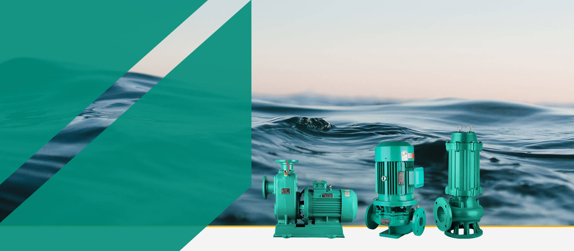 聚焦沃野最新動態(tài)