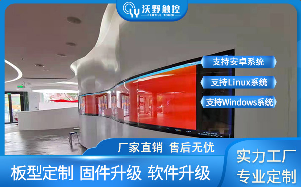 四川某政府OLED S型10點(diǎn)觸摸